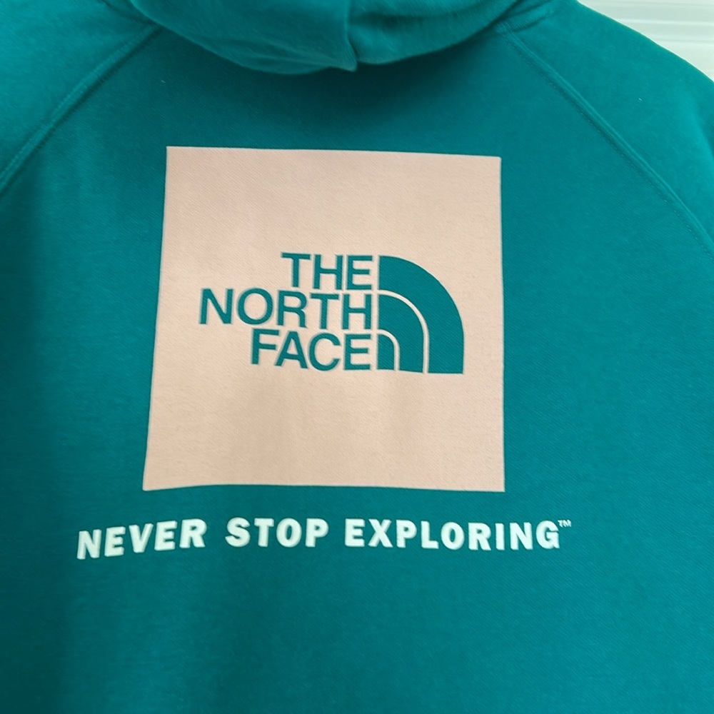 North Face Never Stop Exploring Green & Pink Hoodie Sweatshirt w MEASUREMENTS!